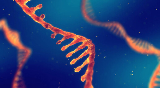 RNA: Scientists have discovered a new layer in the genetic code of life