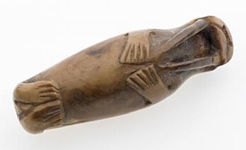 A small walrus figurine, carved from a walrus tooth, from the Library Site in medieval Trondheim and now held by the NTNU University Museum. A small walrus figurine, carved from a walrus tooth, from the Library Site in medieval Trondheim and now held by the NTNU University Museum.