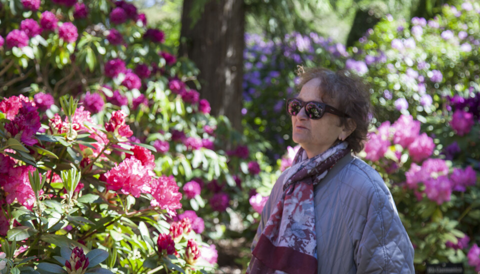 “When I come home after a day at the farm, I feel like I've done something good. There are loads of things you can do,” says Lilian Johansen.