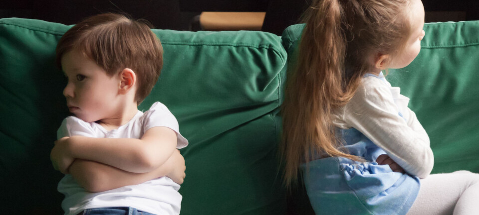 Foster parents' own children are the forgotten children in child welfare services