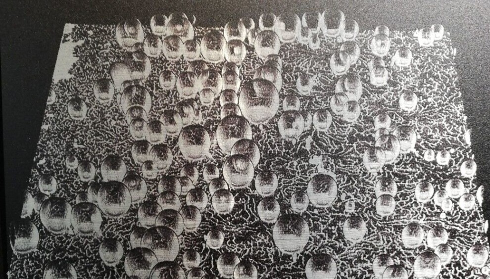 In this image, small bubbles have appeared that are connected together by a network of nanotubes. The little wiggly lines are the nanotubes. Was this how the first cells originated? In this image, small bubbles have appeared that are connected together by a network of nanotubes. The little wiggly lines are the nanotubes. Was this how the first cells originated?