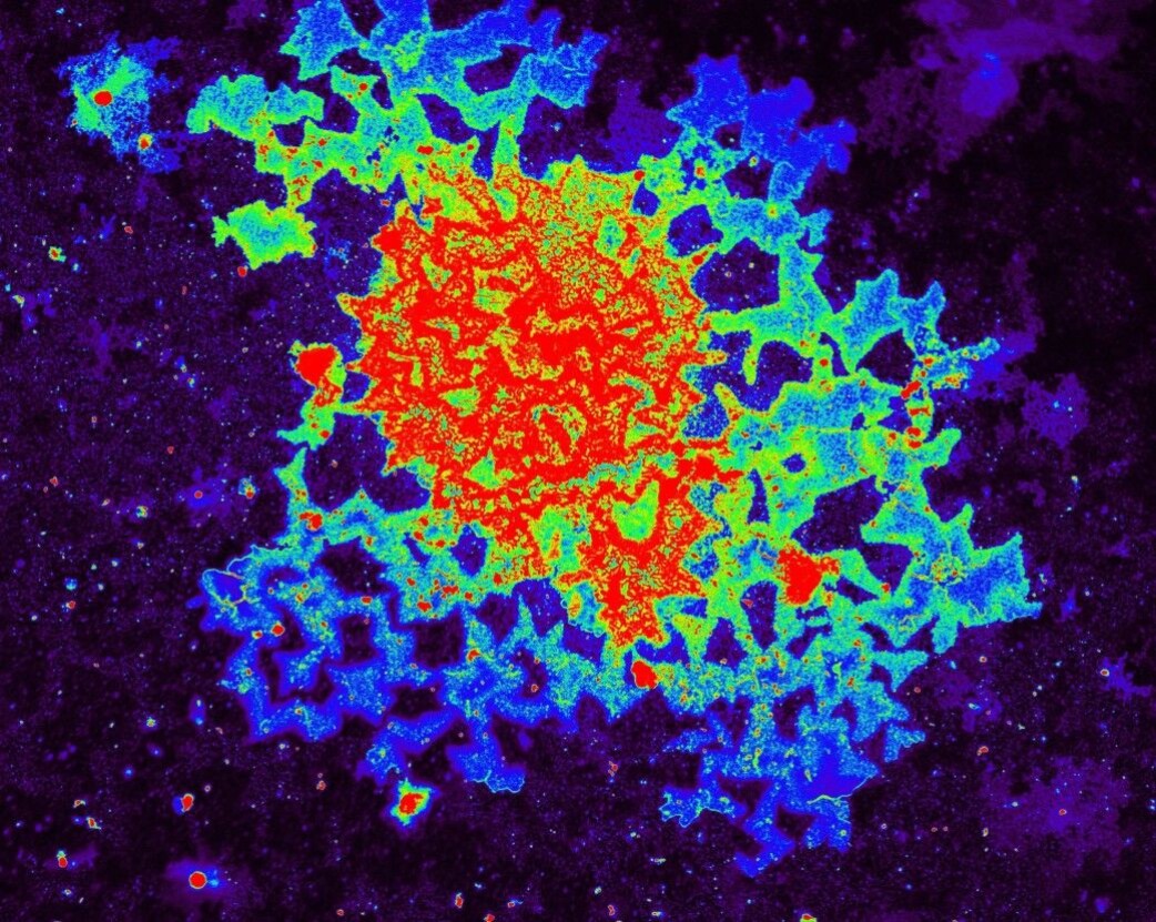 “Pictures are everything for us, they make up our research and observations,” says Irep Gözen. “Pictures are everything for us, they make up our research and observations,” says Irep Gözen.
