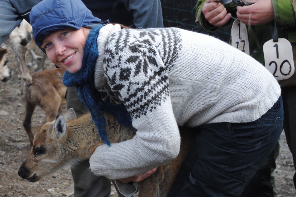 All reindeer owners with whom Kathrine Ivsett Johnsen has spoken want more self-determination for reindeer husbandry.
