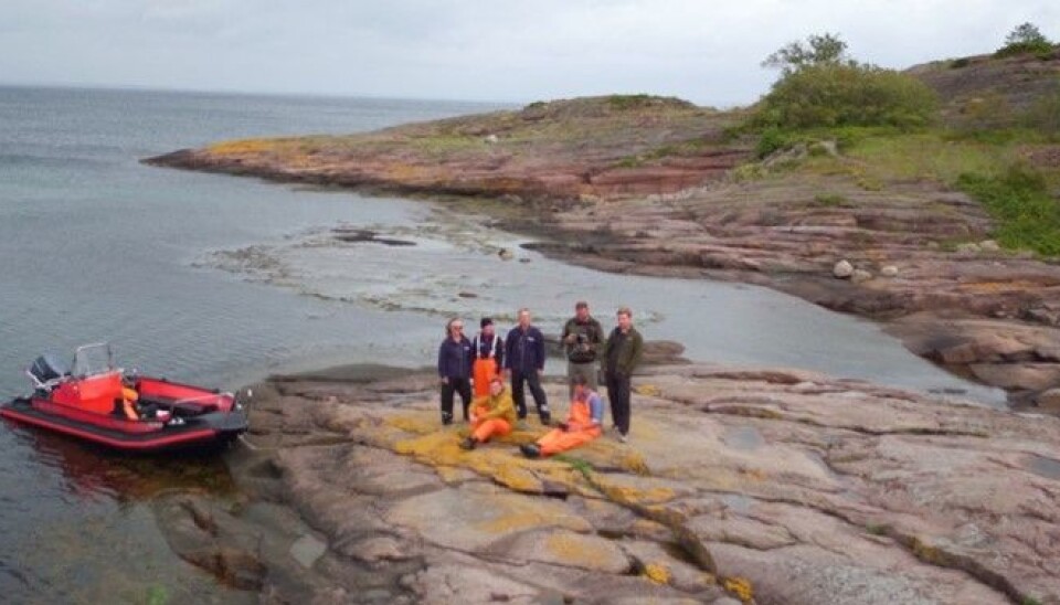 The fieldwork team at the end of the data collection process. The fieldwork team at the end of the data collection process.