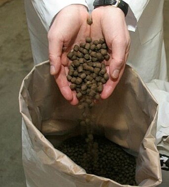 Farmed salmon and trout eat pellets that contain a variety of oils and proteins. Farmed salmon and trout eat pellets that contain a variety of oils and proteins.