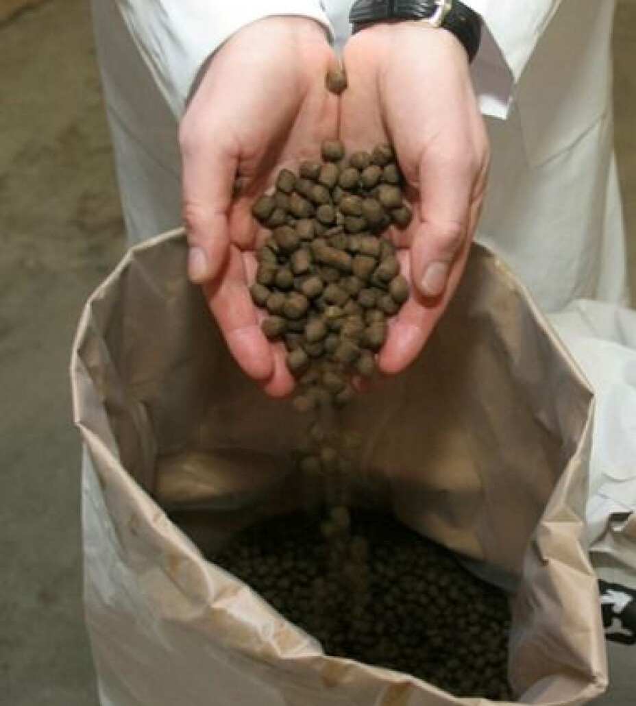 Farmed salmon and trout eat pellets that contain a variety of oils and proteins.
