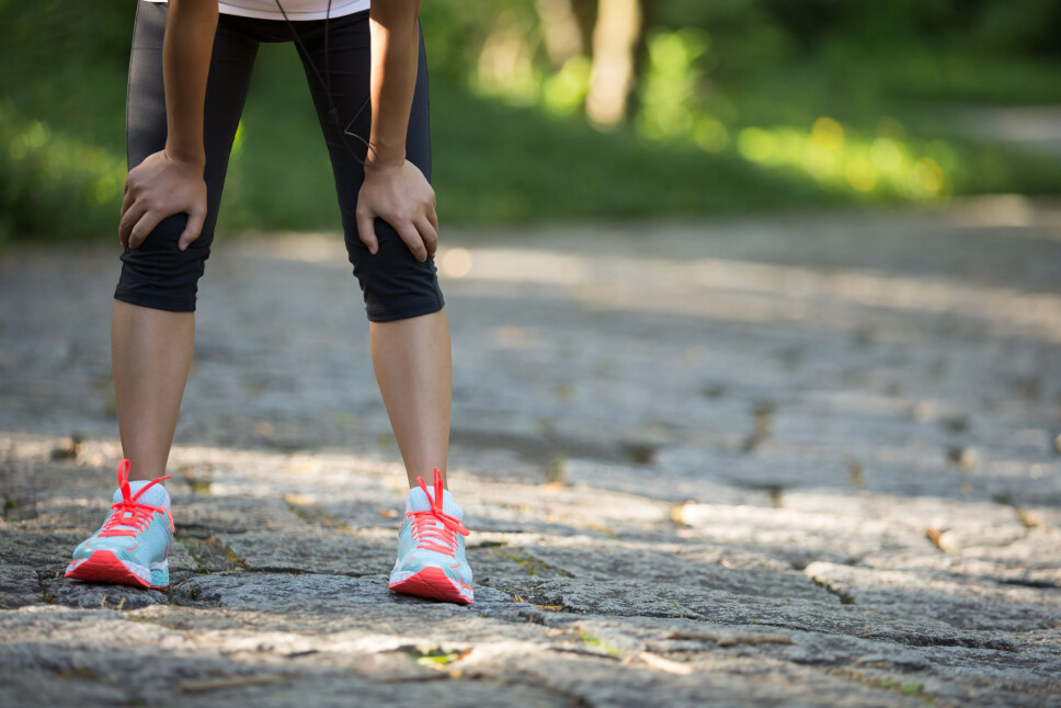 Exercise? OK. But when training gets tough, it helps to have something or someone to give us that little bit of extra motivation.