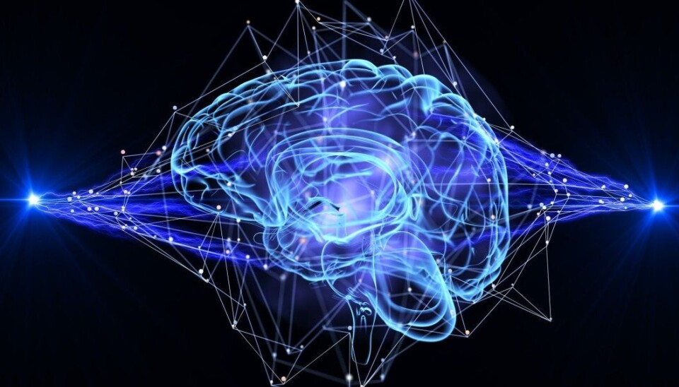 Researchers are using computer models to understand how the brain works.
