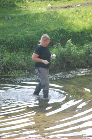 There is a great need to build capacity for environmental monitoring and analysis locally in Bosnia and Herzegovina, says NIVA researcher Sissel Ranneklev, who hopes for more cooperation with the country in the future. There is a great need to build capacity for environmental monitoring and analysis locally in Bosnia and Herzegovina, says NIVA researcher Sissel Ranneklev, who hopes for more cooperation with the country in the future.