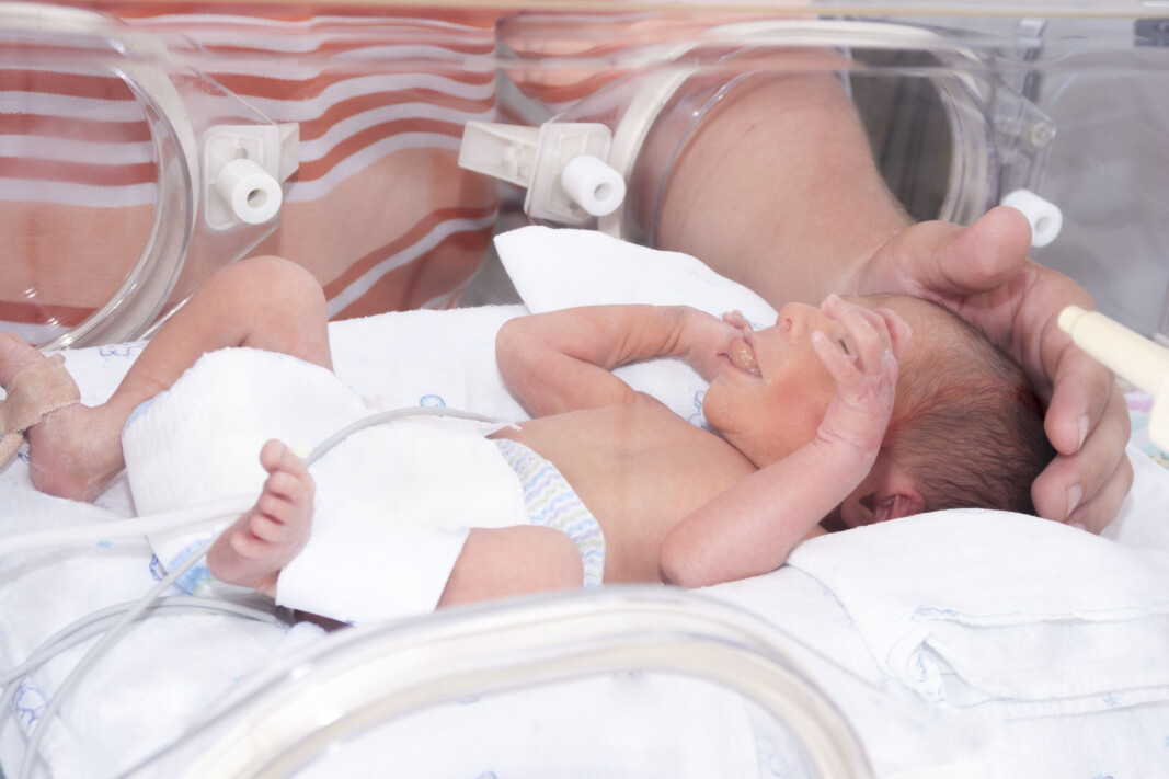 Both extremely preterm infants and those born just three weeks prematurely lag behind in language development, according to a new study. But not to the same degree. Both extremely preterm infants and those born just three weeks prematurely lag behind in language development, according to a new study. But not to the same degree.