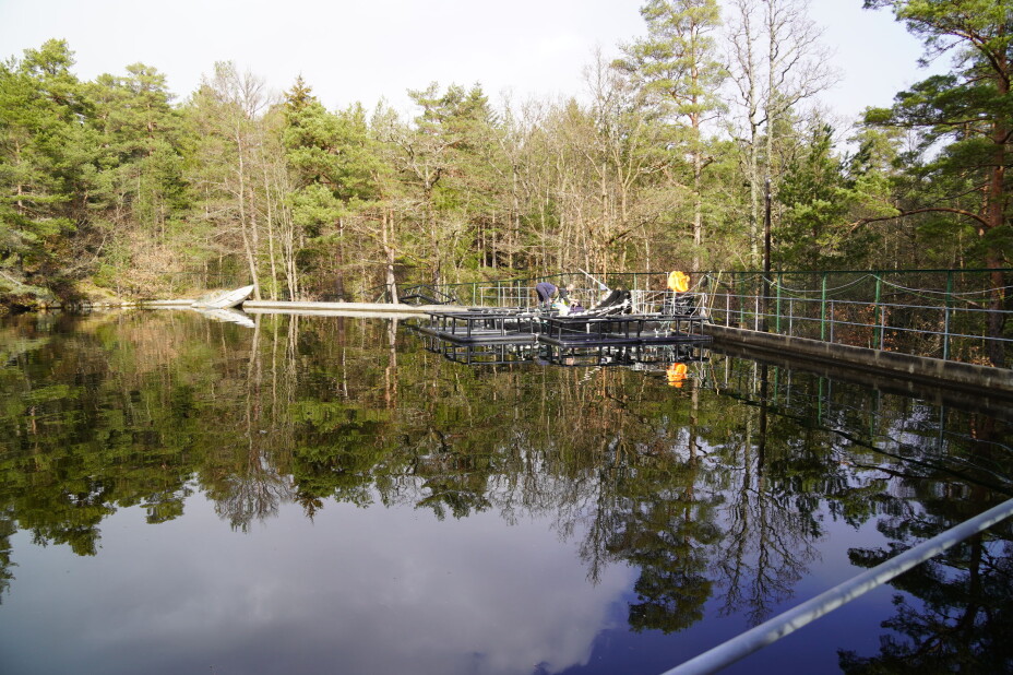 Here is one of the pools that are used in scientific research at the IMR in Arendal.