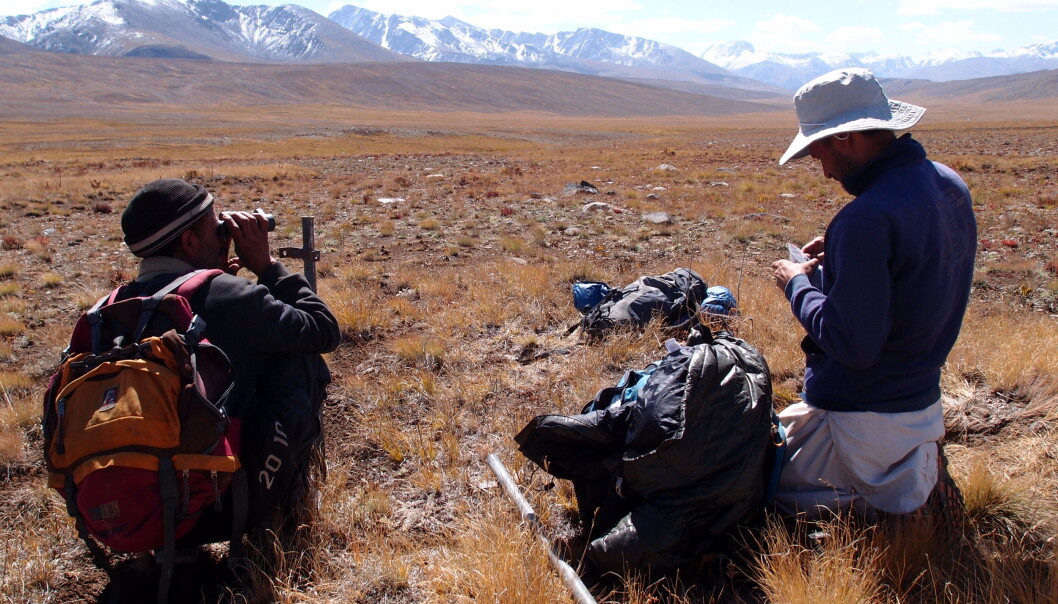Field biologists installing wildlife cameras and collecting DNA samples in Deosai National Park. Field biologists installing wildlife cameras and collecting DNA samples in Deosai National Park.