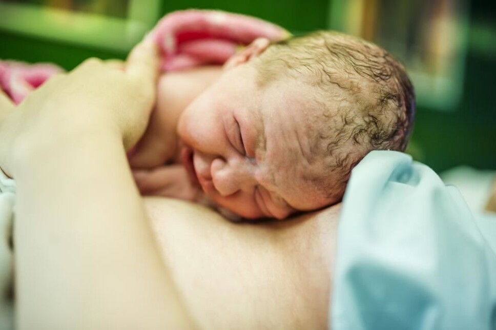 An obvious example of 'unintelligent design' in the human body is that women have a narrow birth canal, which makes childbirth both more dangerous and more painful than in other species.