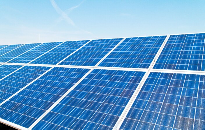 The plants' chlorophyll is only able to utilize between 1 and 2 per cent of the available energy in the sunlight. Commercial silicon solar cells are more effective but human engineers have not yet achieved the same reliability and longevity that evolution has produced. The plants' chlorophyll is only able to utilize between 1 and 2 per cent of the available energy in the sunlight. Commercial silicon solar cells are more effective but human engineers have not yet achieved the same reliability and longevity that evolution has produced.