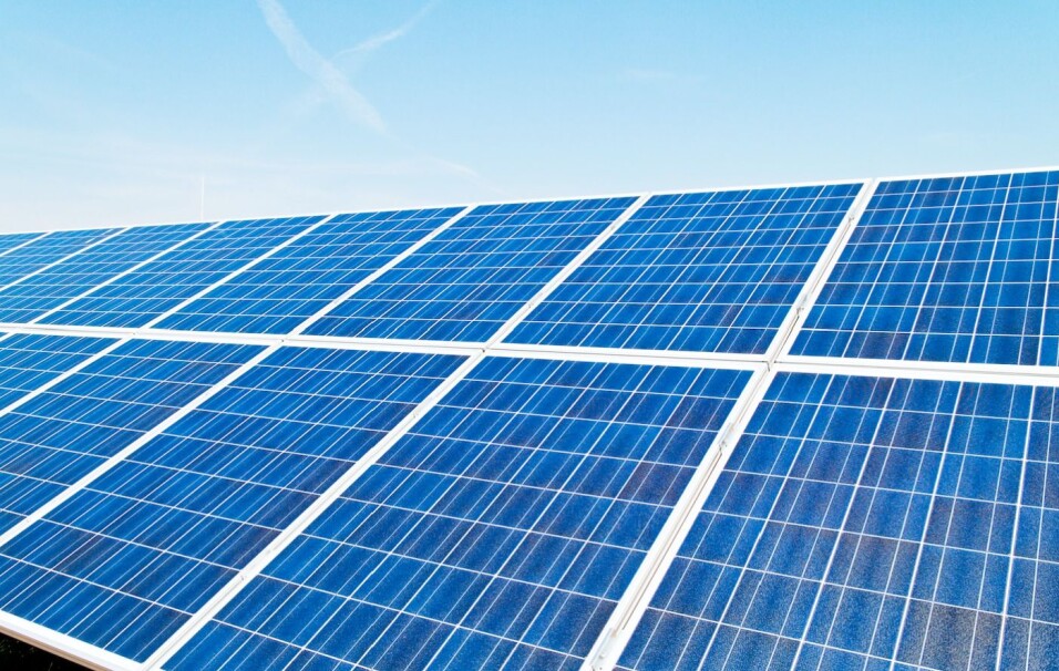The plants' chlorophyll is only able to utilize between 1 and 2 per cent of the available energy in the sunlight. Commercial silicon solar cells are more effective but human engineers have not yet achieved the same reliability and longevity that evolution has produced.