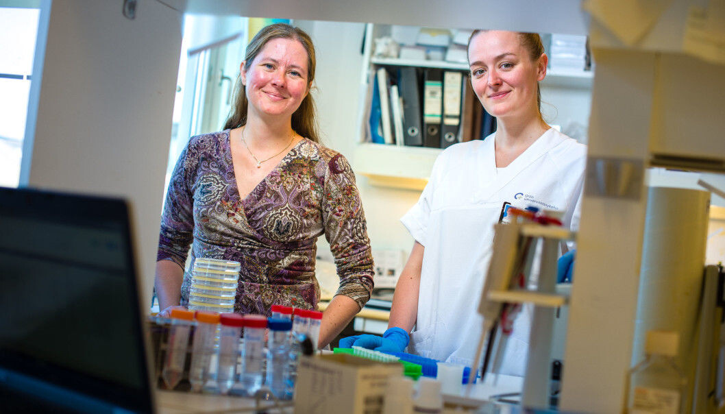 The universal flu vaccine has been tested in mice and is showing great promise. Pictured here are researcher Gunnveig Grødeland and doctoral research fellow Ane Marie Anderson. The universal flu vaccine has been tested in mice and is showing great promise. Pictured here are researcher Gunnveig Grødeland and doctoral research fellow Ane Marie Anderson.