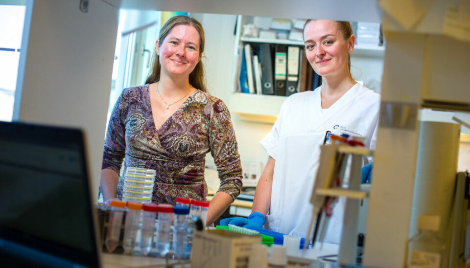 The universal flu vaccine has been tested in mice and is showing great promise. Pictured here are researcher Gunnveig Grødeland and doctoral research fellow Ane Marie Anderson.