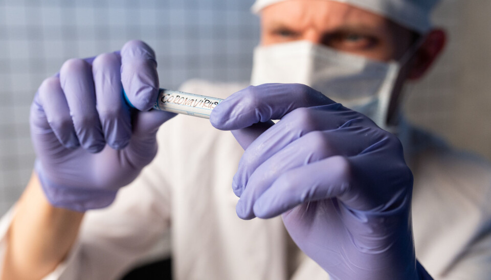 A test developed by NTNU and St. Olavs Hospital will be used throughout Norway by early May, the Norwegian government said Friday. The new test will triple existing test capacity at the beginning, with the potential to increase testing by a factor of five or more as the test system is established. Illustration photo:
