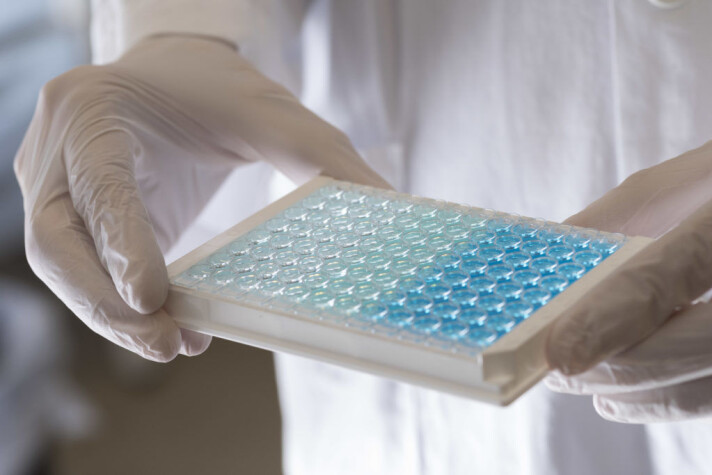 The drug from BerGenBio is intended to prevent the body's immune system from being weakened in the face of the virus behind COVID-19. More specifically, it prevents the virus from lurking into the body by using a special protein made from the AXL gene. The drug from BerGenBio is intended to prevent the body's immune system from being weakened in the face of the virus behind COVID-19. More specifically, it prevents the virus from lurking into the body by using a special protein made from the AXL gene.
