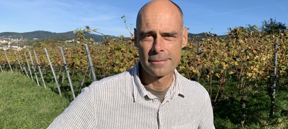 Researcher believes people should be allowed to travel abroad this summer