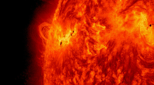 A new solar cycle may be underway