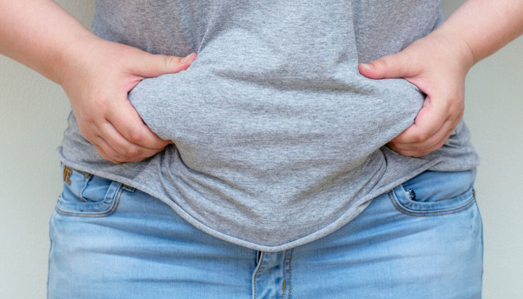 Certain genes put you at greater risk of developing obesity. Now, Norwegian scientists have studied mice to investigate what these genes actually do. Certain genes put you at greater risk of developing obesity. Now, Norwegian scientists have studied mice to investigate what these genes actually do.