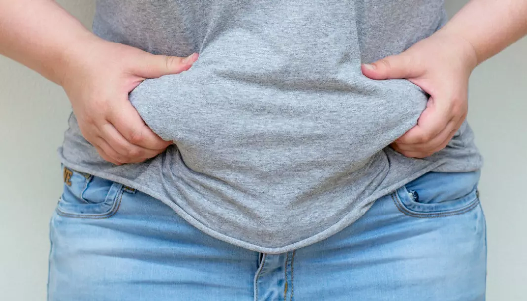 Certain genes put you at greater risk of developing obesity. Now, Norwegian scientists have studied mice to investigate what these genes actually do.
