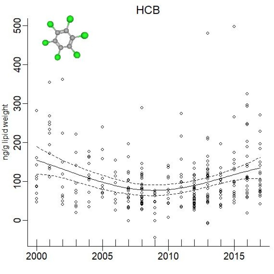 Hexachlorobenzene levels in Barents Sea polar bears from 2000 to 2017. After implementation of international regulations, the concentrations of several legacy POPs gradually decreased in Barents Sea polar bears. More recently, levels of some POPs have begun to increase again, possibly because they are being re-released from melting sea ice, glaciers and permafrost. Hexachlorobenzene is one such pollutant. This graph shows trends over time, adjusted for climate-related variation in the bears’ body condition and feeding habits (adapted, with permission, from Lippold et al 2019, Environmental science & technology, 53(2), 984-995, © 2019 American Chemical Society).