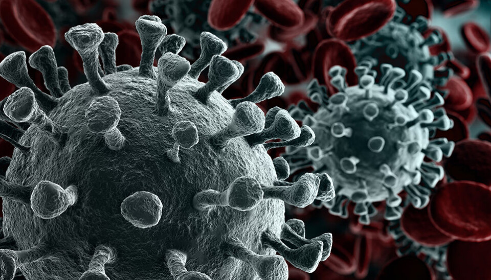 Testing larger households can reduce coronavirus infections in Norway
