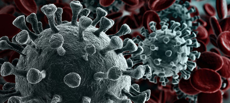 Testing larger households can reduce coronavirus infections in Norway