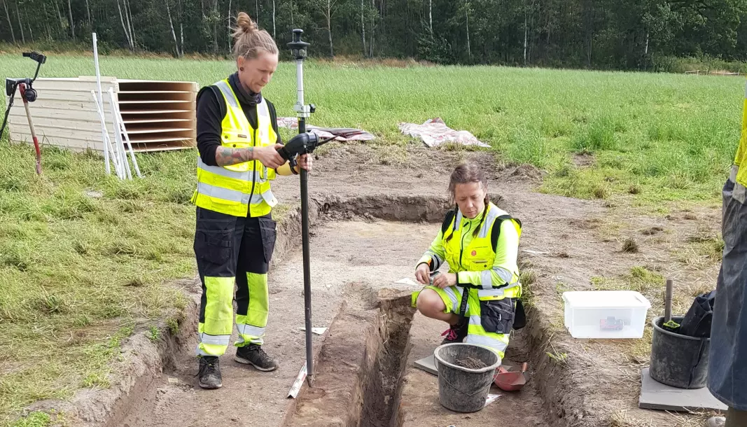 Archaeologists examining a drainage ditch and remnants of the Viking ship during an initial dig in 2019.