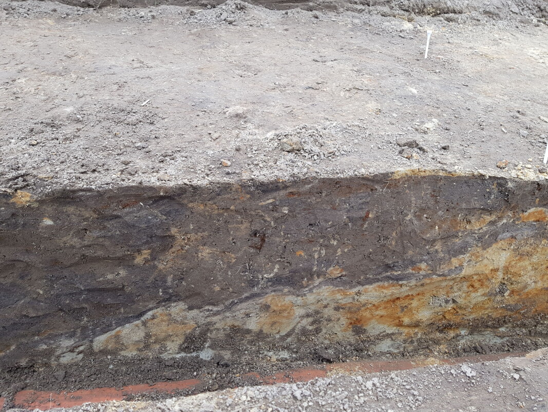 This is an impression in the clay from one of the planks of the hull of the Gjellestad ship. This is an impression in the clay from one of the planks of the hull of the Gjellestad ship.