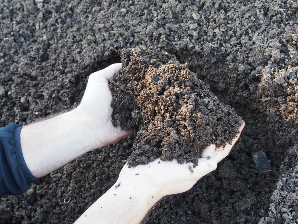 Compost is organic matter from plants or animal manure that is broken down by microorganisms. These processes make the nutrients in the compost accessible to new plants.