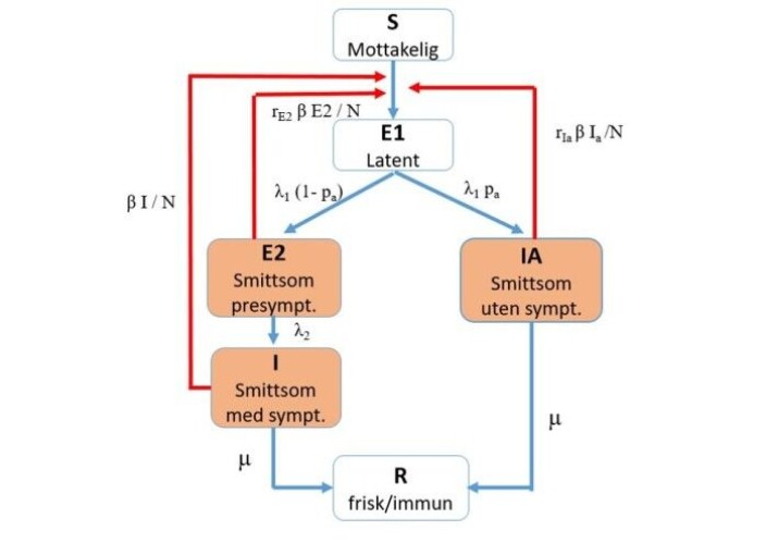 Here’s how the coronavirus spreads between people, according to the mathematical model that’s used by the Norwegian Institute of Public Health. Key: S – Susceptible; E1 – Exposed, not infectious, no symptoms; E2 – Exposed, infectious, pre-symptomatic; IA – Infectious, no symptoms; I – Infectious, with symptoms; R – Healthy/Immune . Here’s how the coronavirus spreads between people, according to the mathematical model that’s used by the Norwegian Institute of Public Health. Key: S – Susceptible; E1 – Exposed, not infectious, no symptoms; E2 – Exposed, infectious, pre-symptomatic; IA – Infectious, no symptoms; I – Infectious, with symptoms; R – Healthy/Immune .