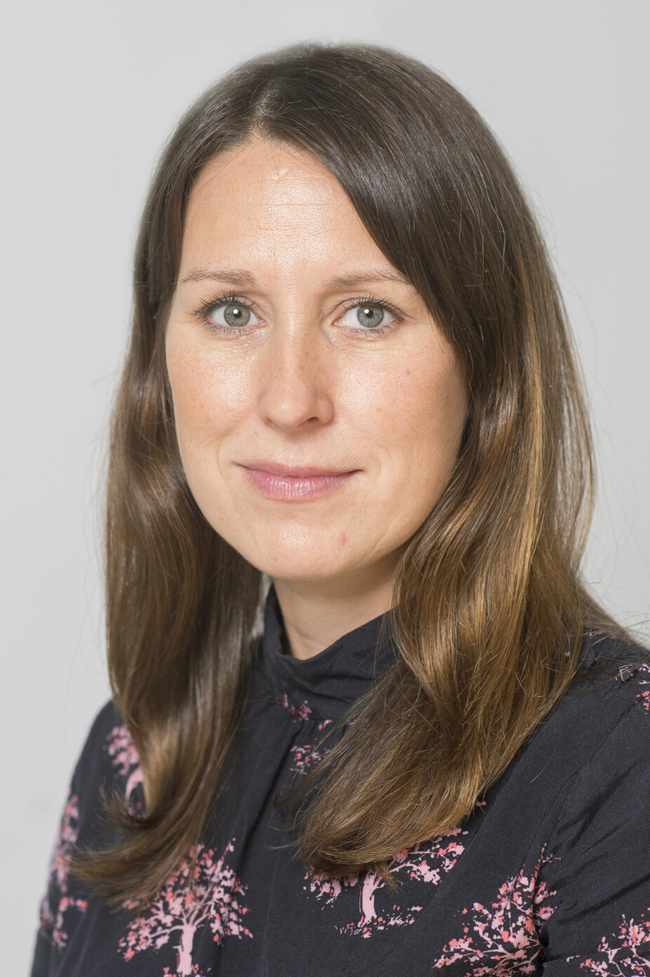 Oddrun Helen Hagen is a researcher at the Institute of Transport Economics.