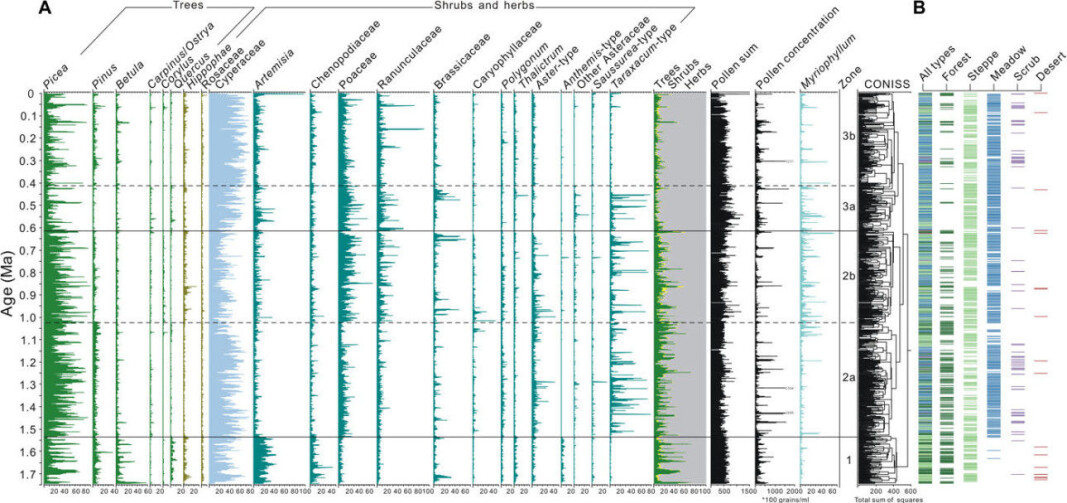 Over 1.7 million years — and a number of ice ages and interglacial periods — scientists have found surprisingly few changes in the kinds of plants and trees that have grown on the Tibetan Plateau. But the absolute numbers of each species vary, of course. For example, notice the change in spruce trees (Picea) 600,000 years ago. You can also see the changes in pine trees (Pinus), birch trees (Betula), wormwood (Artemisia), grass (Poaceae) or buttercups (Ranunculaceae). At the far right you can see changes in the landscape type over the same 1.7 million years, from forest to steppe, meadow, scrub and desert. Over 1.7 million years — and a number of ice ages and interglacial periods — scientists have found surprisingly few changes in the kinds of plants and trees that have grown on the Tibetan Plateau. But the absolute numbers of each species vary, of course. For example, notice the change in spruce trees (Picea) 600,000 years ago. You can also see the changes in pine trees (Pinus), birch trees (Betula), wormwood (Artemisia), grass (Poaceae) or buttercups (Ranunculaceae). At the far right you can see changes in the landscape type over the same 1.7 million years, from forest to steppe, meadow, scrub and desert.