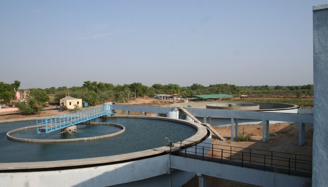 As wastewater treatment plants are better at reducing phosphorus compared to nitrogen, the imbalance between these two elements is changing on a worldwide level, particularly in developing countries. As wastewater treatment plants are better at reducing phosphorus compared to nitrogen, the imbalance between these two elements is changing on a worldwide level, particularly in developing countries.
