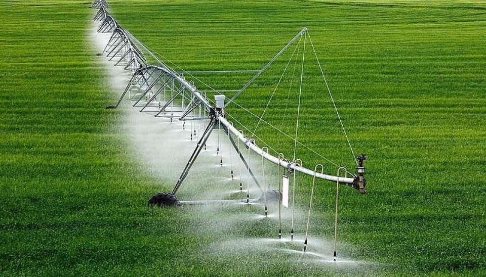 'We are downplaying the potential environmental impact of irrigated agriculture', says Arnald Puy who has just published his findings in Geophysical Research Letters with his research-fellows Andrea Saltelli (University of Bergen) and Samuele Lo Piano (University of Reading).