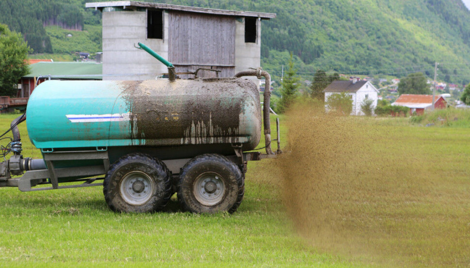 Manure can be a great source of nutrients. But it’s not always so practical to use. For example, manure contains a lot of water and is heavy and can be expensive to transport over large distances.