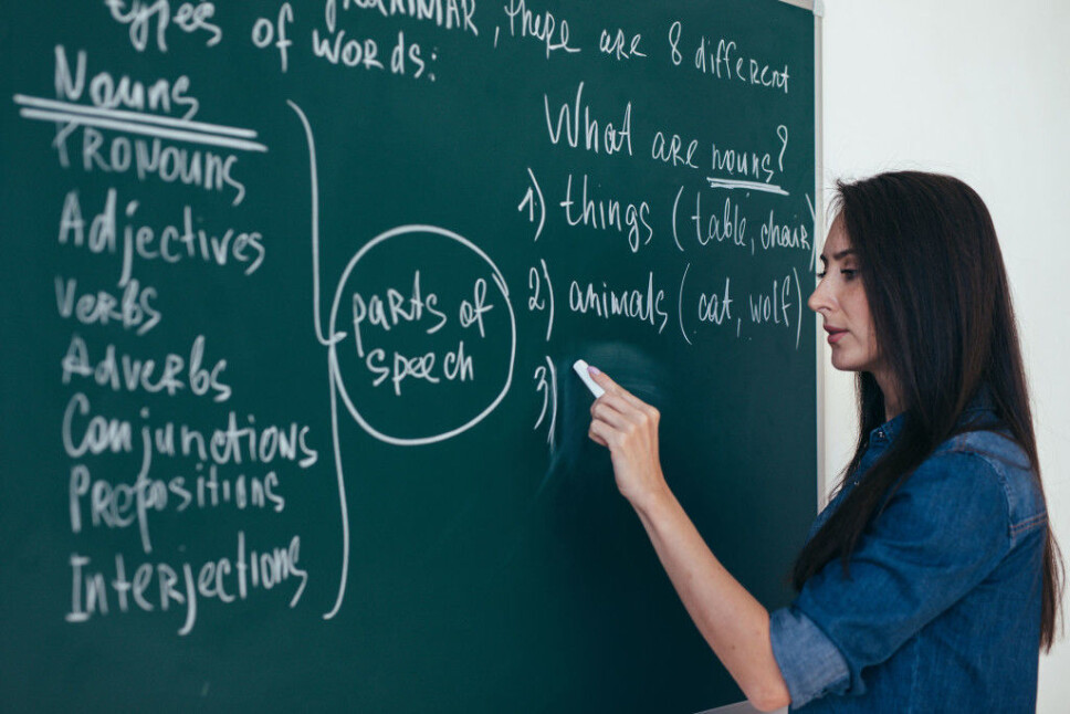 'Pupils should focus more on grammar while they write, rather than being subjected to explicit grammar lessons', says Sigrunn Askeland.