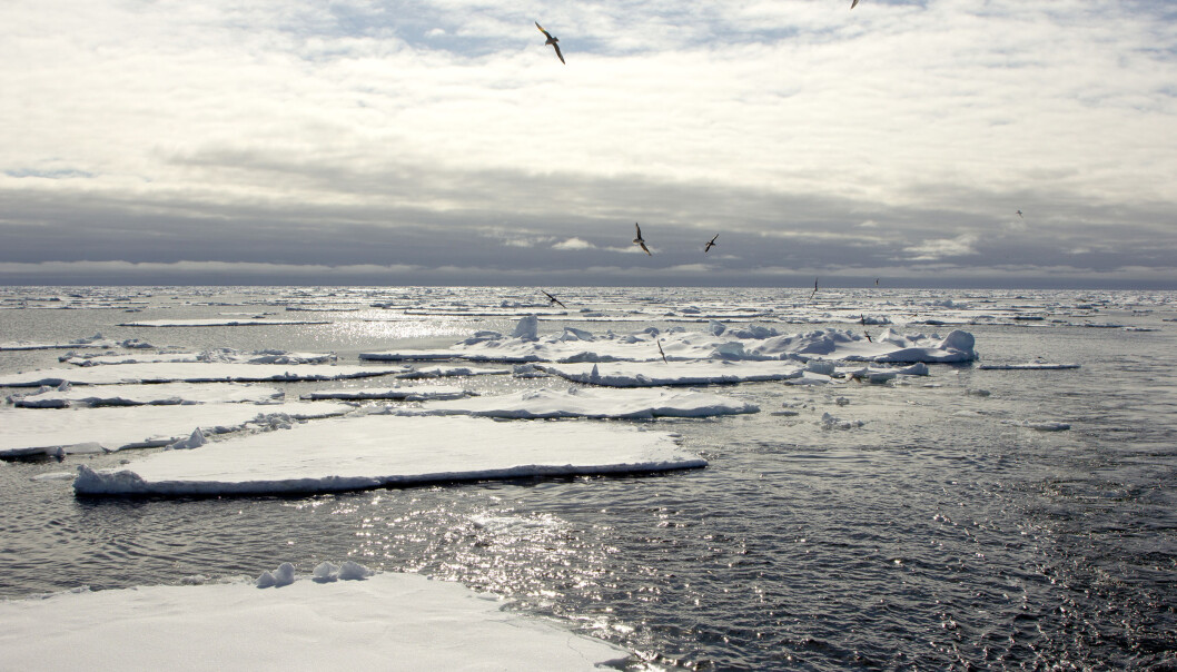 "As of now, large resources are needed to create ice warnings, and most of them are made by The Norwegian Meteorological Institute and similar centres. With the help of artificial intelligence, these warnings can in the future possibly be made on the actual vessels - using a regular laptop. "As of now, large resources are needed to create ice warnings, and most of them are made by The Norwegian Meteorological Institute and similar centres. With the help of artificial intelligence, these warnings can in the future possibly be made on the actual vessels - using a regular laptop.