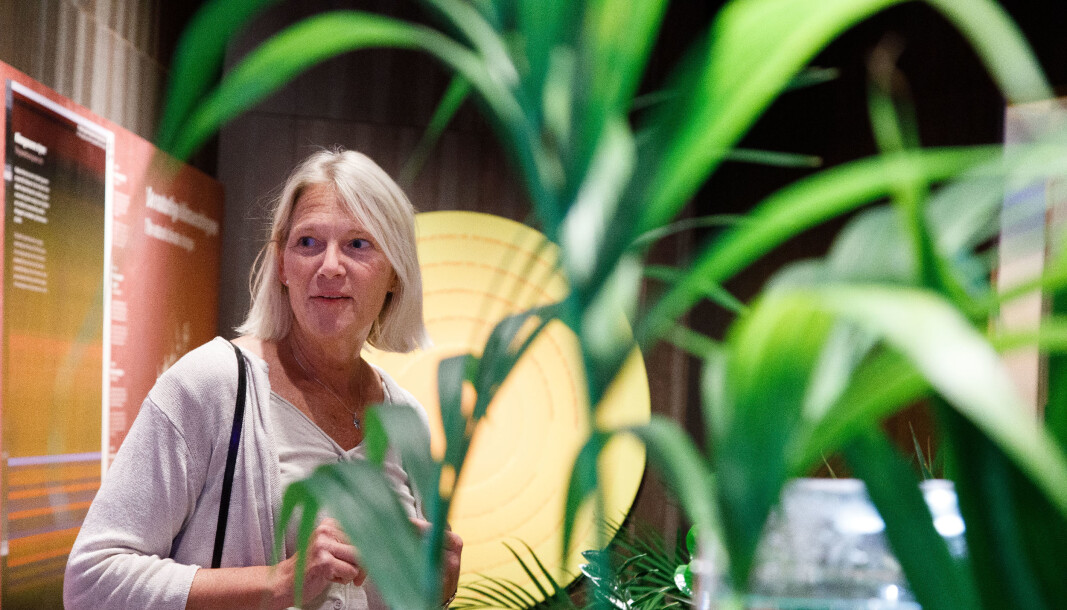 Brita Slettemark doesn’t want to scare anyone, but hopes to give children and youth hope with the exhibits at the Climate House. Brita Slettemark doesn’t want to scare anyone, but hopes to give children and youth hope with the exhibits at the Climate House.