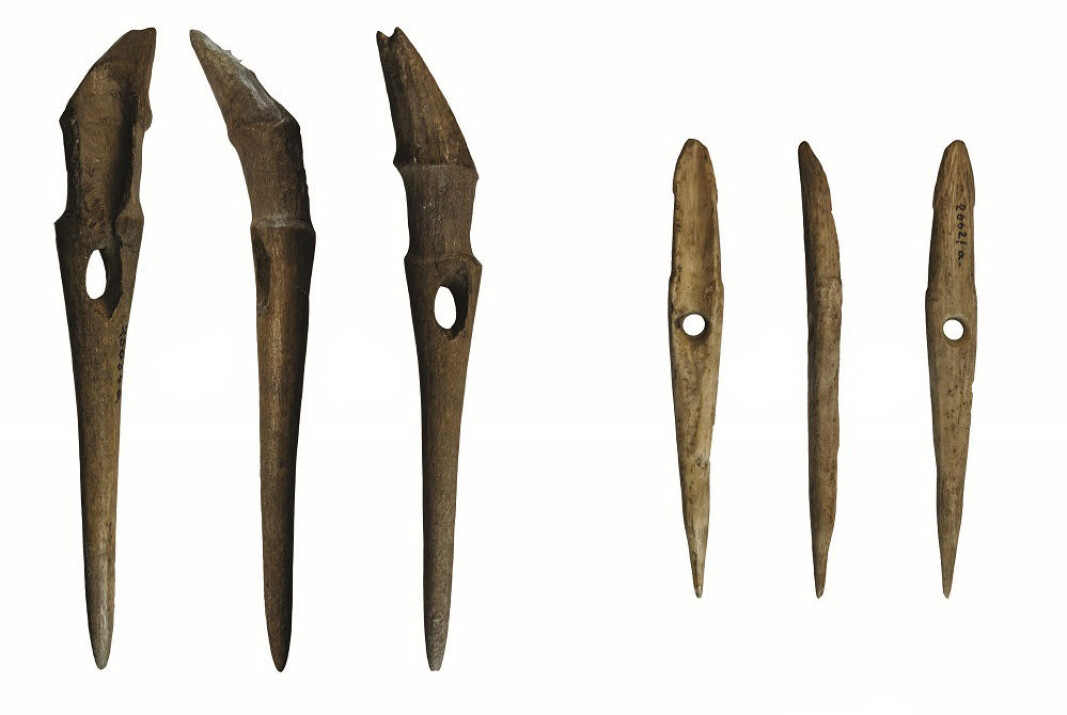 These are two of the harpoons that researchers found under the field at the Jortveit farm in southern Norway. They were probably in use sometime between 5700 and 4500 years ago. These are two of the harpoons that researchers found under the field at the Jortveit farm in southern Norway. They were probably in use sometime between 5700 and 4500 years ago.