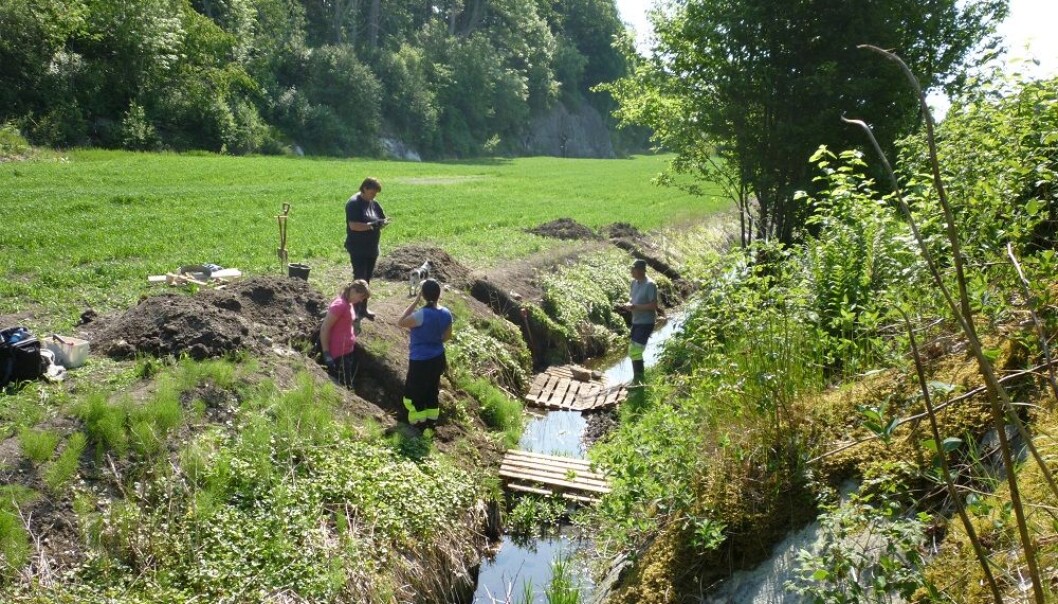 Researchers and students from the Museum of Cultural History have undertaken three seasons of archaeological digs in the old wetland on the Jortveit farm. Around 125 centimetres below the field’s surface lies a layer of bluefin tuna bones. Researchers and students from the Museum of Cultural History have undertaken three seasons of archaeological digs in the old wetland on the Jortveit farm. Around 125 centimetres below the field’s surface lies a layer of bluefin tuna bones.
