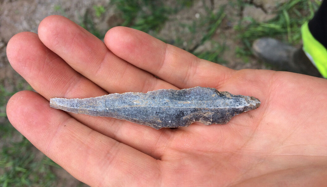 The researchers also found several arrowheads in the wetland. The researchers also found several arrowheads in the wetland.