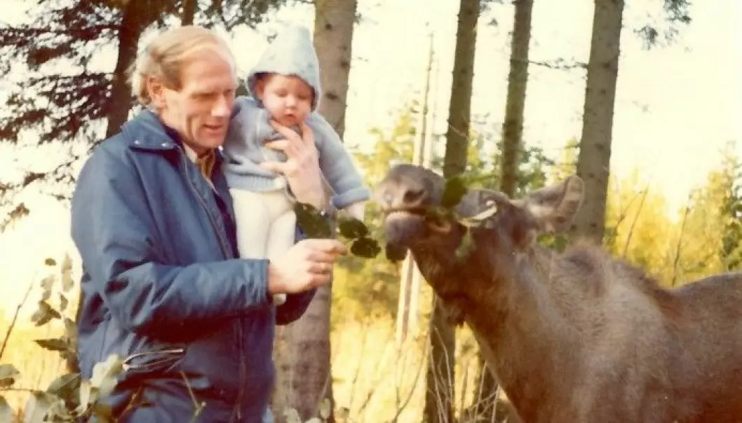 Olav Hjeljord has done research on moose for many years. This photo was taken when his son was little and could go to work with Dad.