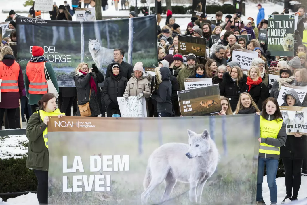 A demonstration in Oslo in 2018 against the killing of wolves, organised by the animal rights organisation NOAH. The poster states "Let them live!". Another poster in the background says "Yes to wolves in Norwegian nature".