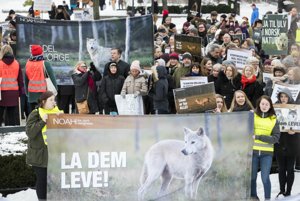 A demonstration in Oslo in 2018 against the killing of wolves, organised by the animal rights organisation NOAH. The poster states 'Let them live!'. Another poster in the background says 'Yes to wolves in Norwegian nature'.