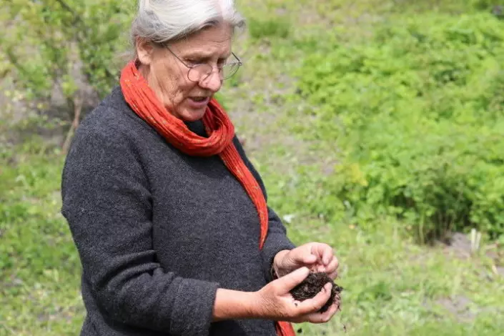 Linda Jolly uses cow manure in her compost. But it is not so easy to get hold of. Cow manure is the best, she thinks. “Cows have four stomachs filled with billions of microorganisms. These microorganisms are also important for the soil,” she says. Composting without manure is perfectly fine too.