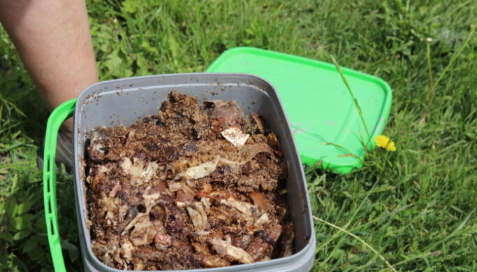 Bokashi is good for people who want to compost but don’t have that much space. The liquid should be drained regularly from a tap at the bottom of the bucket. This can be used as fertilizer for indoor plants. Jolly mixes one part liquid to one hundred parts water. That's because it's strong and acidic. Bokashi is good for people who want to compost but don’t have that much space. The liquid should be drained regularly from a tap at the bottom of the bucket. This can be used as fertilizer for indoor plants. Jolly mixes one part liquid to one hundred parts water. That's because it's strong and acidic.